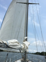 Jib sail. Can't get a full photo from on the boat.